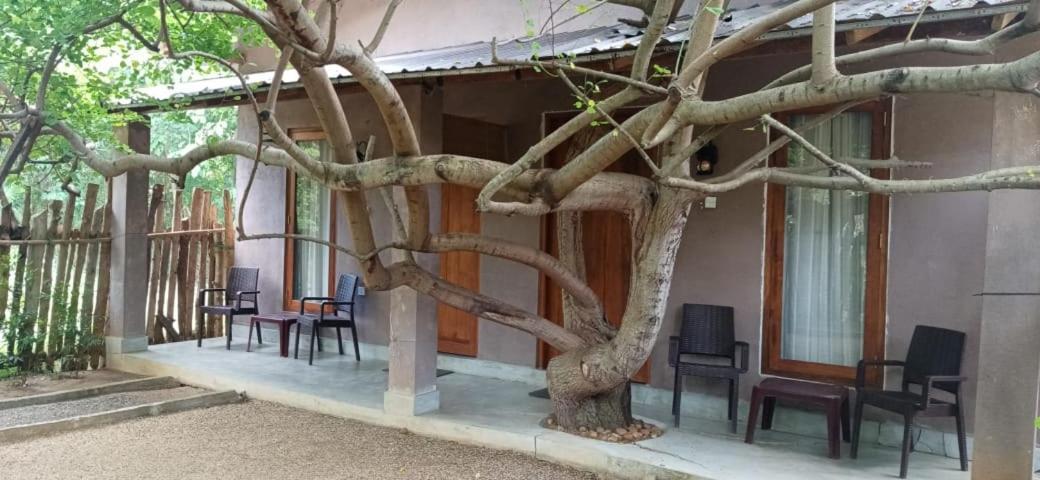Hantara Udawalawa Udawalawe Exterior photo