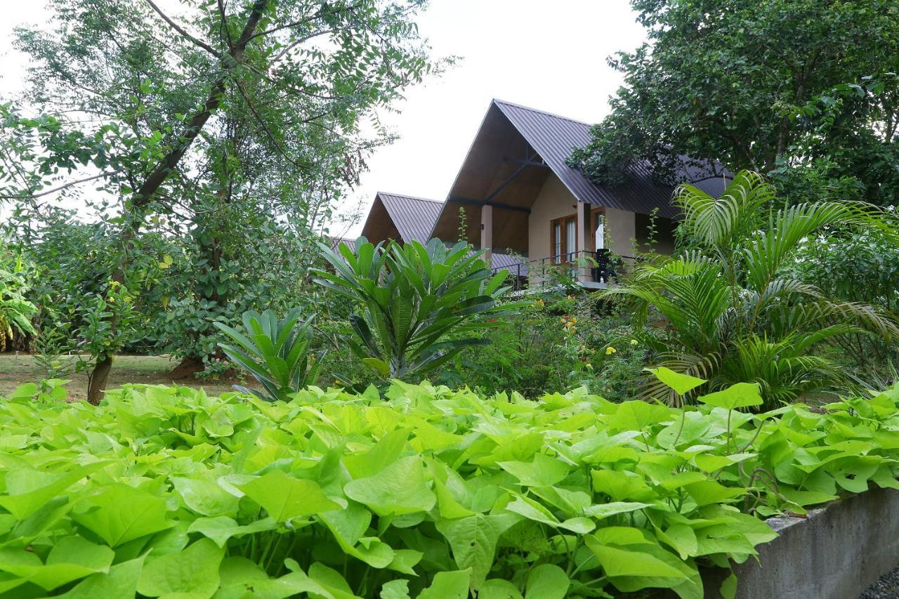 Hantara Udawalawa Udawalawe Exterior photo